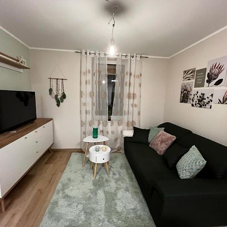 Апартаменты Boarding House Am Ahnepark Vellmar Экстерьер фото